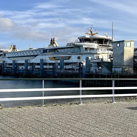 Prázdninový dům On Texel Near And Forest *