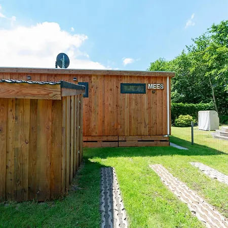 On Texel Near And Forest De Koog (Texel)