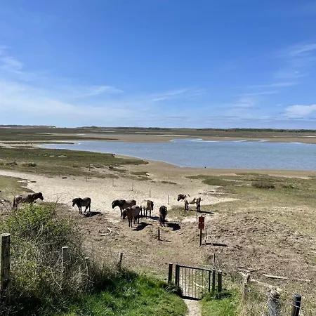 On Texel Near And Forest * De Koog (Texel)