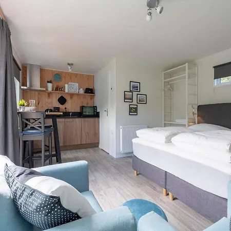 On Texel Near And Forest De Koog (Texel)