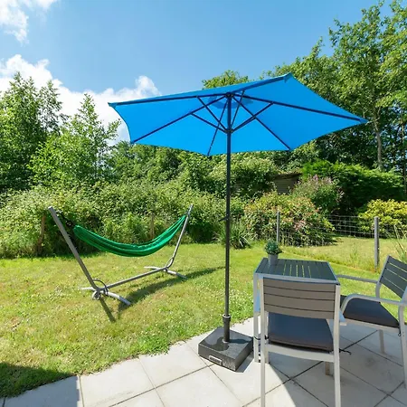 On Texel Near And Forest De Koog (Texel)