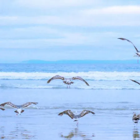 On Texel Near And Forest Hébergement de vacances