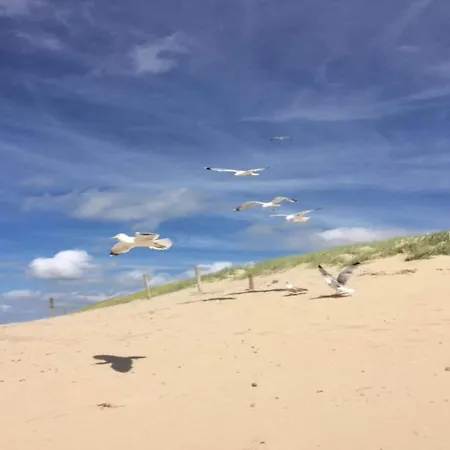 Hébergement de vacances On Texel Near And Forest De Koog (Texel)