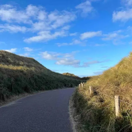 On Texel Near And Forest De Koog (Texel)
