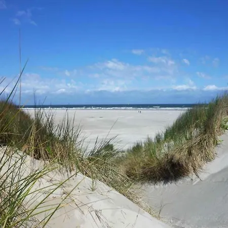 On Texel Near And Forest Prázdninový dům De Koog (Texel)
