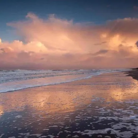 On Texel Near And Forest * De Koog (Texel)