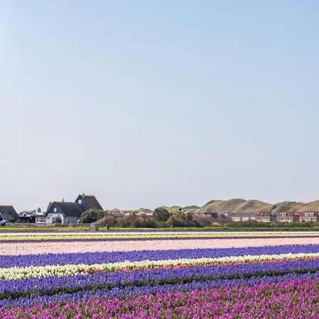 On Texel Near And Forest