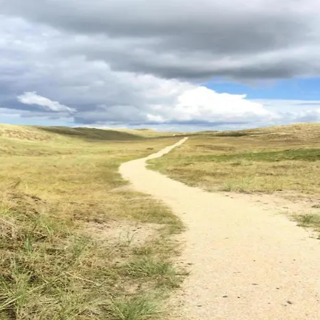 On Texel Near And Forest Prázdninový dům De Koog (Texel)