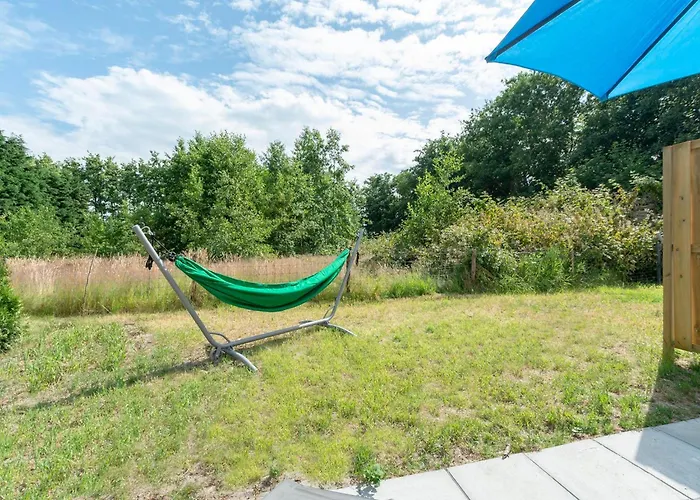 On Texel Near And Forest