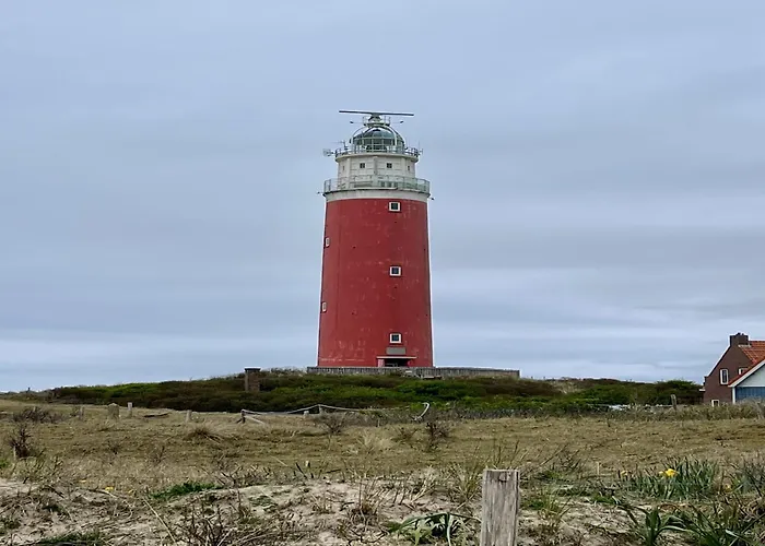 On Texel Near And Forest *