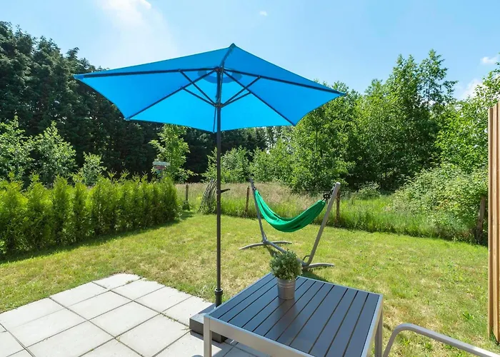 On Texel Near And Forest De Koog (Texel)