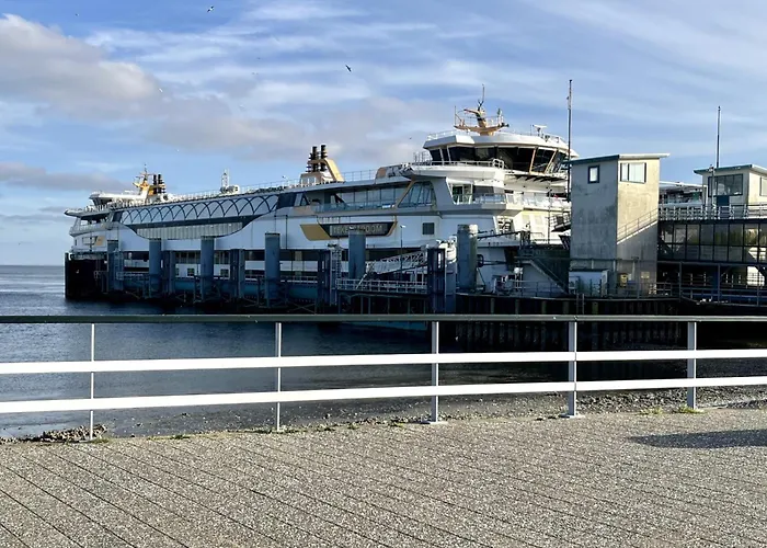 Vakantiehuis On Texel Near And Forest *