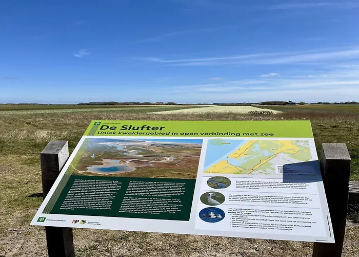 Vakantiehuis On Texel Near And Forest De Koog (Texel)