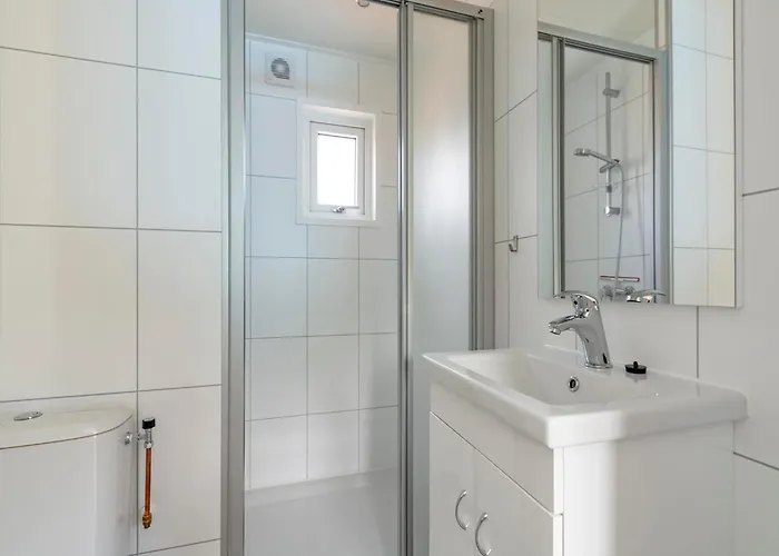 On Texel Near And Forest