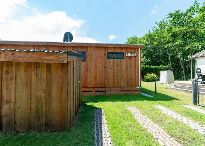 On Texel Near And Forest De Koog (Texel)