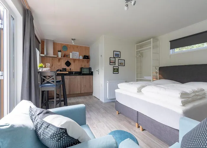 On Texel Near And Forest De Koog (Texel)