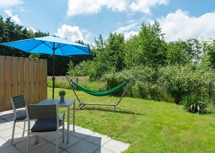 On Texel Near And Forest * De Koog (Texel)