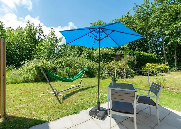 On Texel Near And Forest De Koog (Texel)