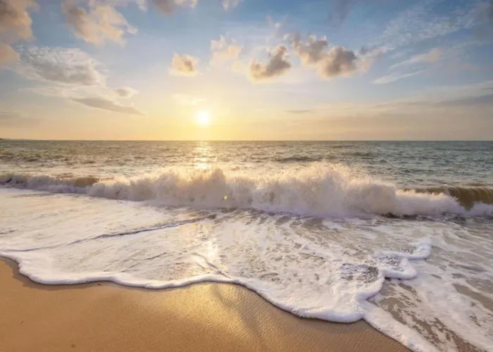 Vakantiehuis On Texel Near And Forest *