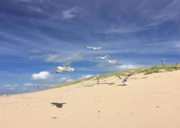 Vakantiehuis On Texel Near And Forest De Koog (Texel)