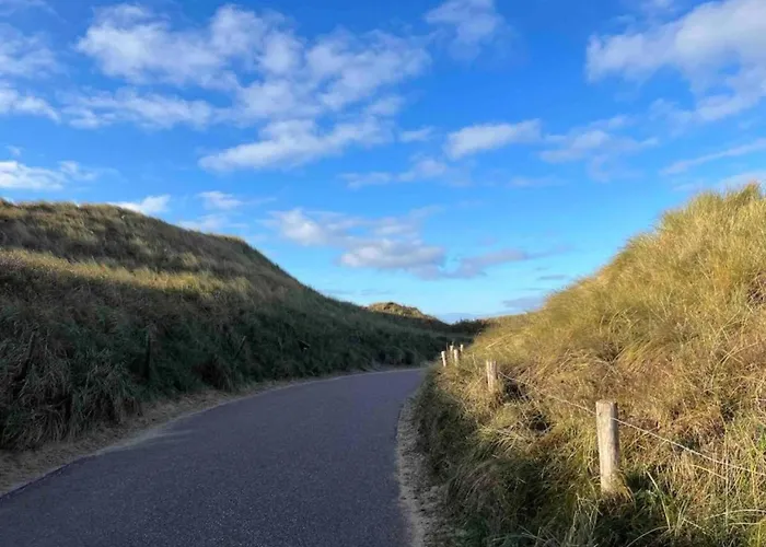 On Texel Near And Forest De Koog (Texel)
