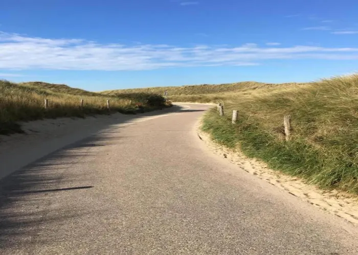 On Texel Near And Forest Vakantiehuis