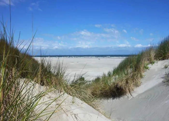 On Texel Near And Forest Vakantiehuis De Koog (Texel)