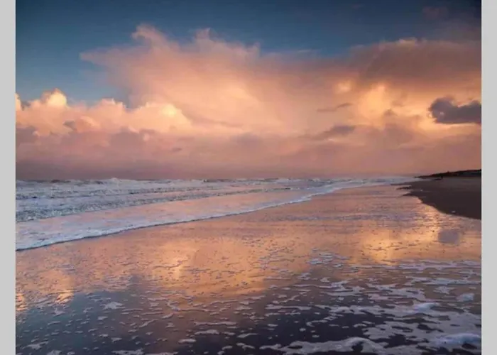 On Texel Near And Forest * De Koog (Texel)