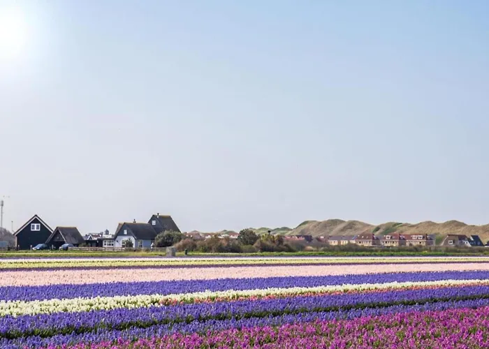 On Texel Near And Forest