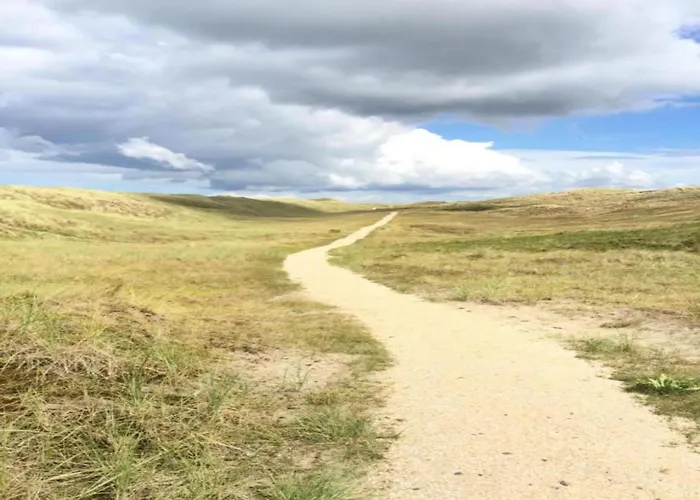 On Texel Near And Forest Vakantiehuis De Koog (Texel)