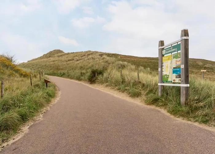 On Texel Near And Forest * De Koog (Texel)