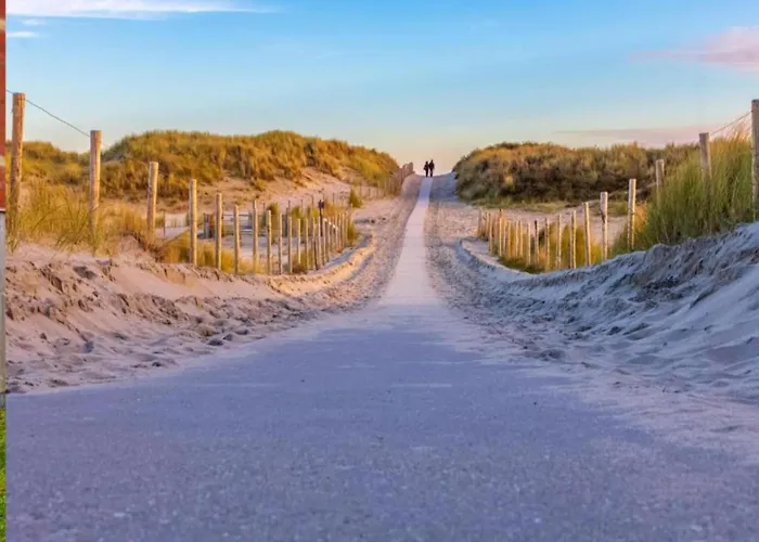 On Texel Near And Forest Vakantiehuis *