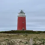 On Texel Near And Forest *