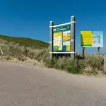 On Texel Near And Forest *