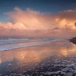 On Texel Near And Forest * De Koog (Texel)